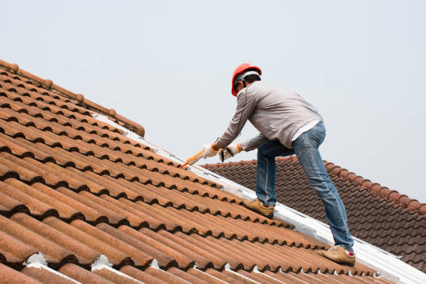 Best Metal Roofing Installation  in Meyers, CA